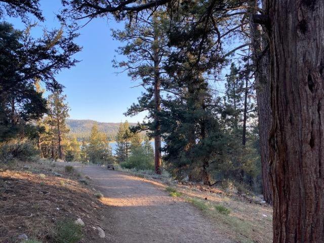 The Fox Paw Villa Big Bear Lake Kültér fotó